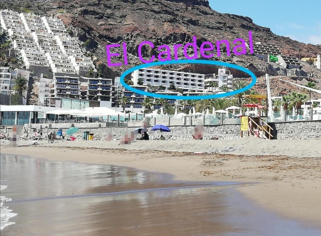 Apartamento El Cardenal Mick & Rosa Плая дел Кура Екстериор снимка